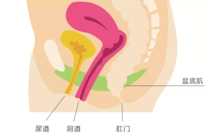 doi的时候怎么夹对方才舒服，如何把下面夹得很紧