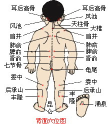 小儿支气管炎的按摩方法(图)