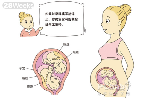 怀双胞胎的症状 双胞胎胎儿发育全过程（图片）