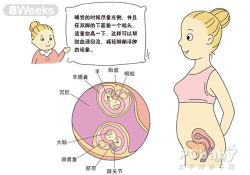 怀双胞胎的症状 双胞胎胎儿发育全过程（图片）