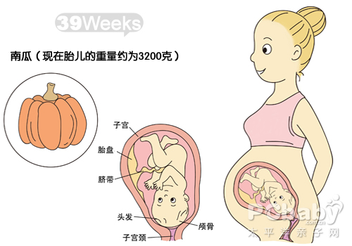 【怀孕39周】怀孕39周胎儿图 39周吃什么注意事项