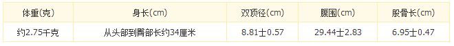 怀孕36周胎儿发育情况（图）